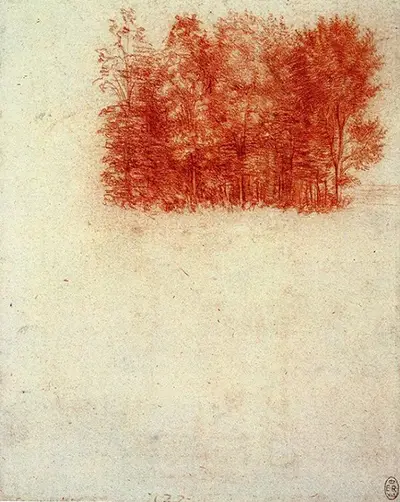 Birch Copse Leonardo da Vinci